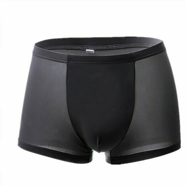 🔥LAST DAY Promotion 45% OFF🔥Men's Ice Silk Breathable Underwear