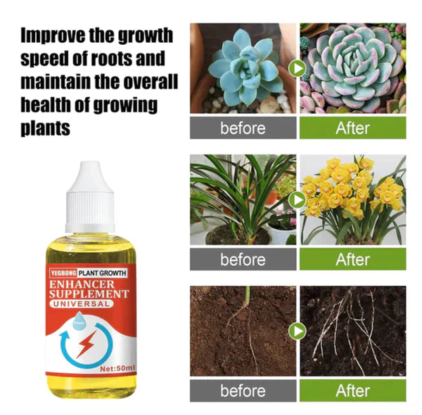 Plant Growth Enhancer Supplement