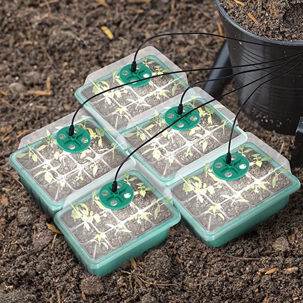 Seed Starter Trays with Grow Light