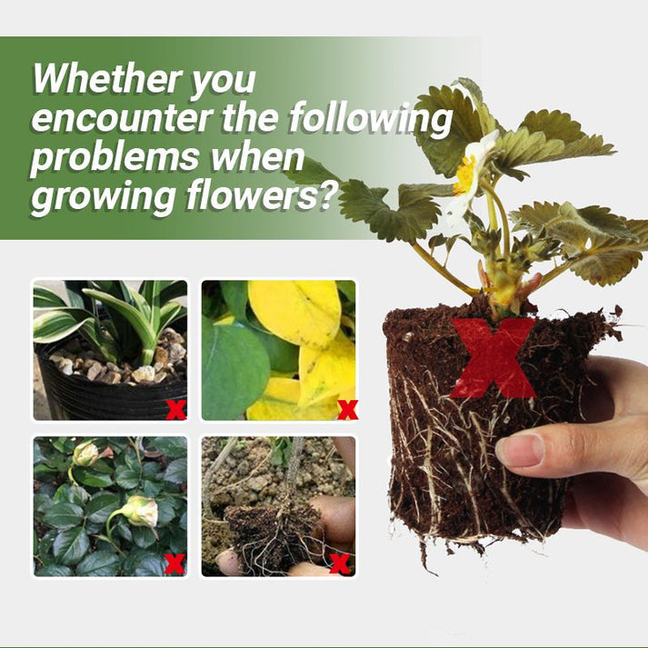 Special Organic Fertilizer Based on Bone Meal - Promotes the Growth of Flowers and Fruits