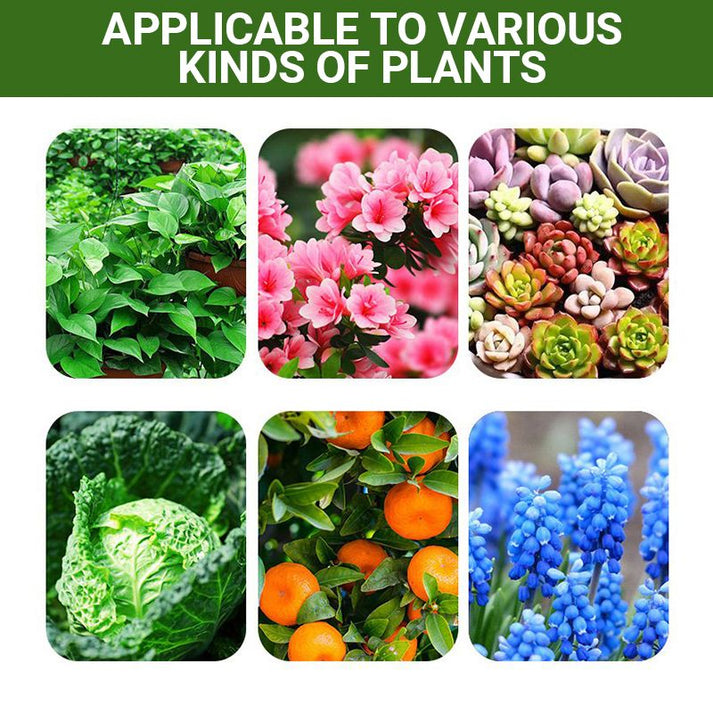 Special Organic Fertilizer Based on Bone Meal - Promotes the Growth of Flowers and Fruits